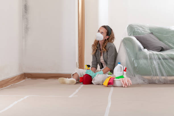 Reliable Mold Inspection contractor in Farmingdale, NJ by WQB Mold Removal